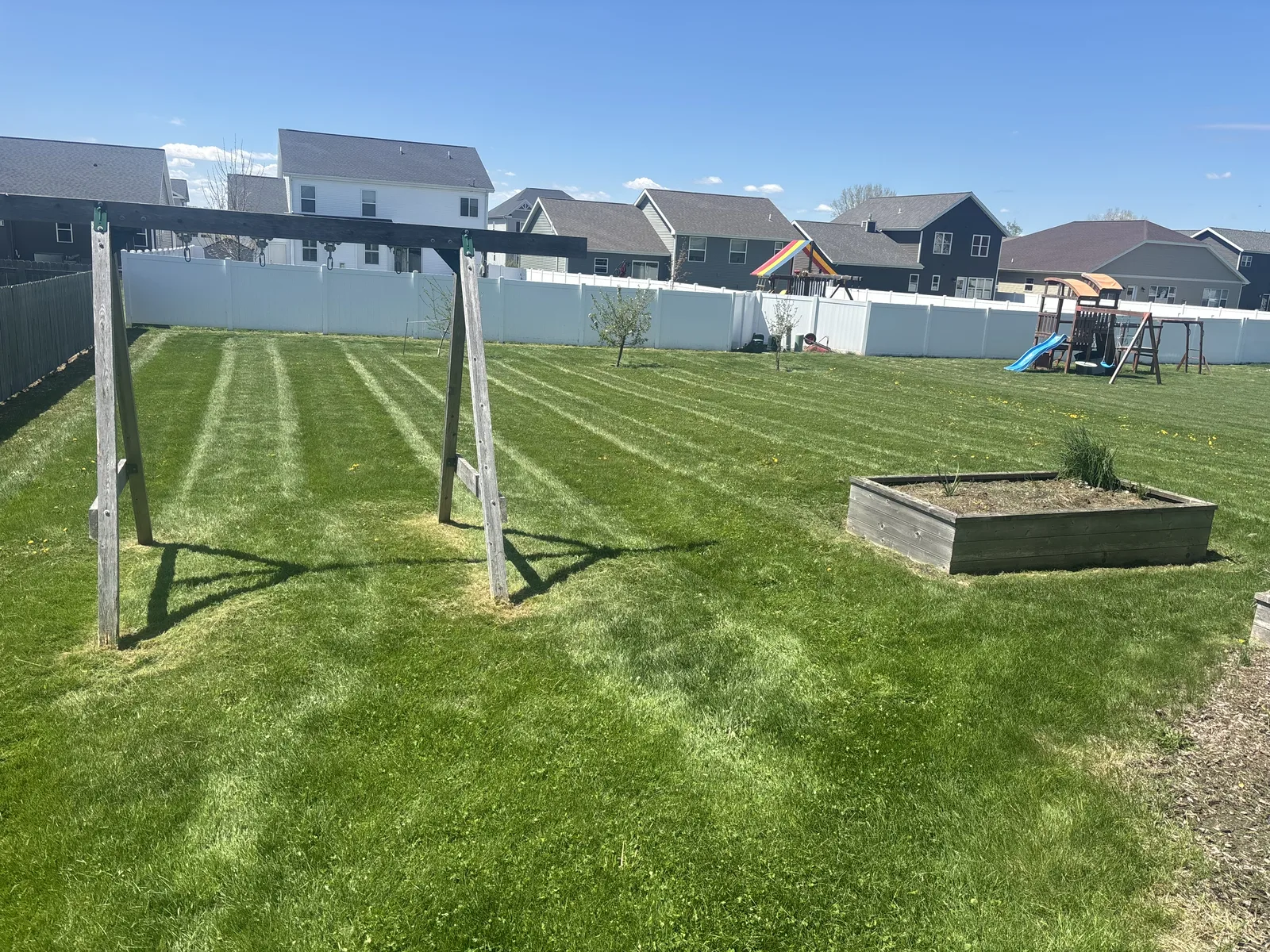 Backyard lawn maintenance