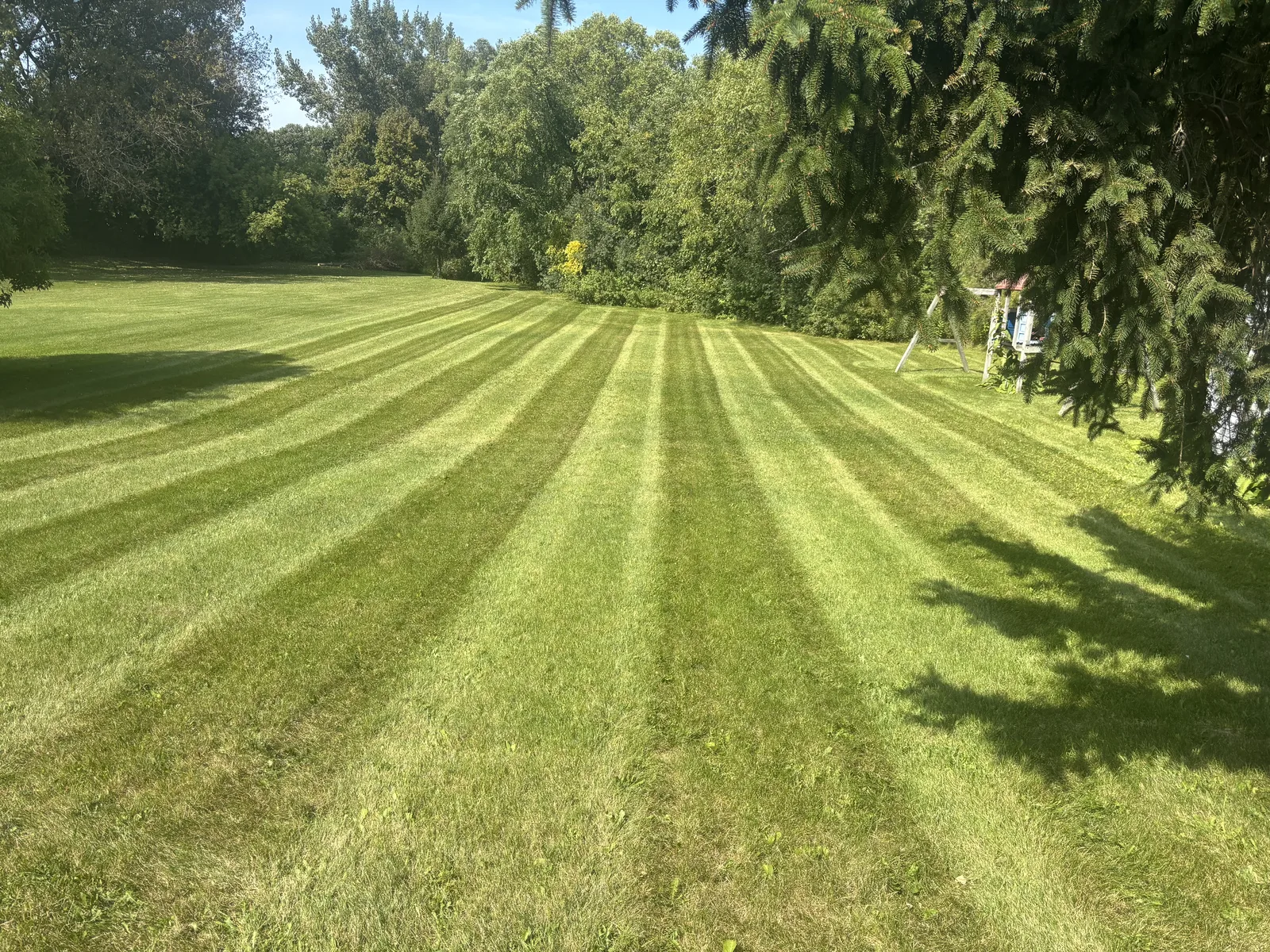 Large lawn mowing service