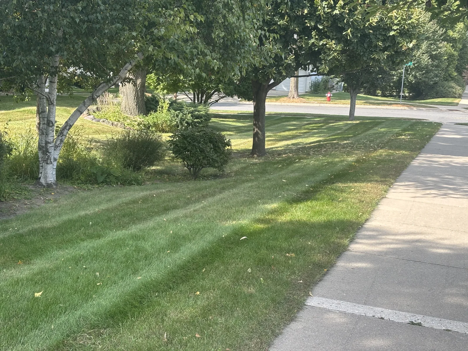 Garden and lawn maintenance